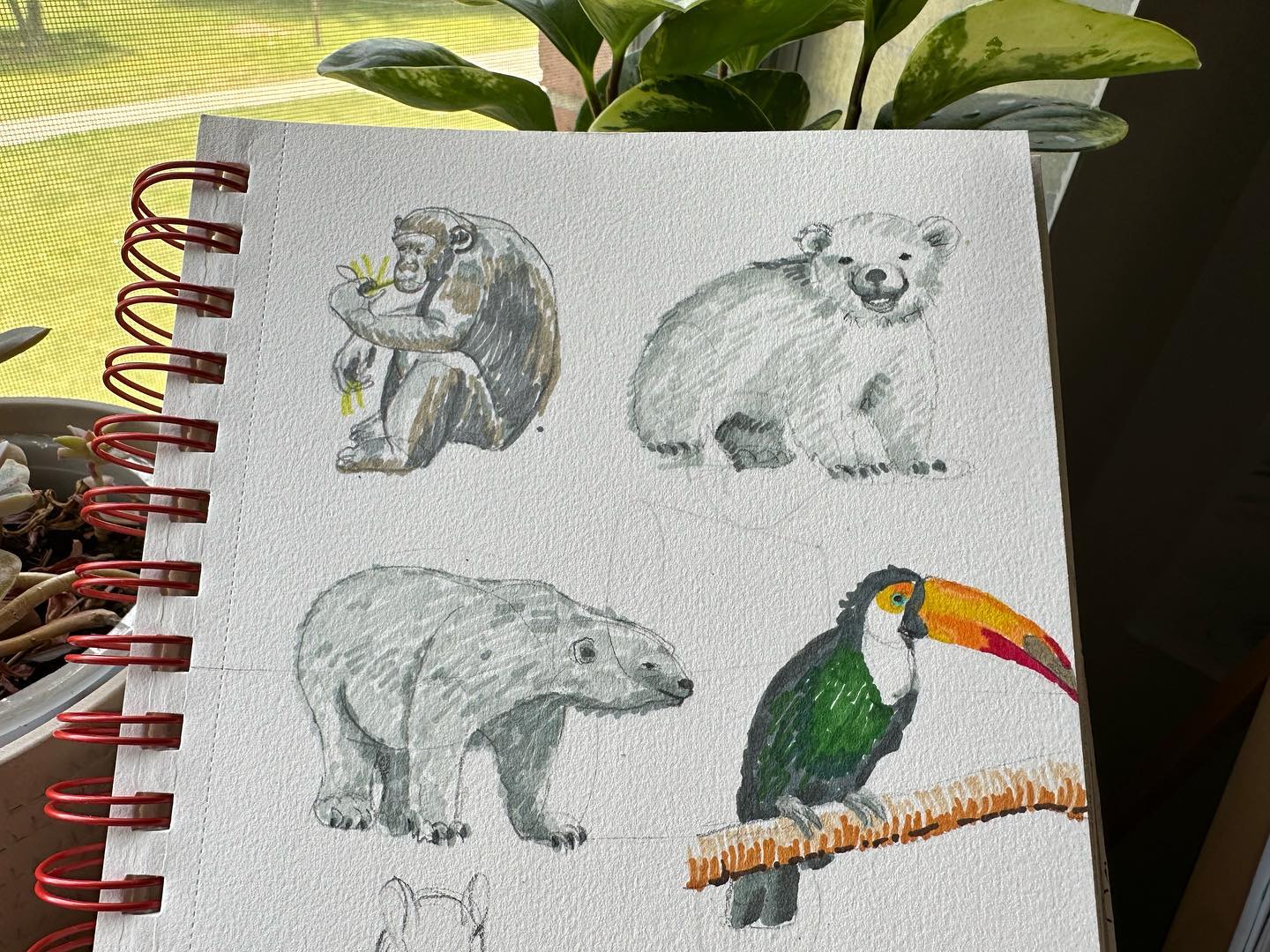 Character Design & Story Board